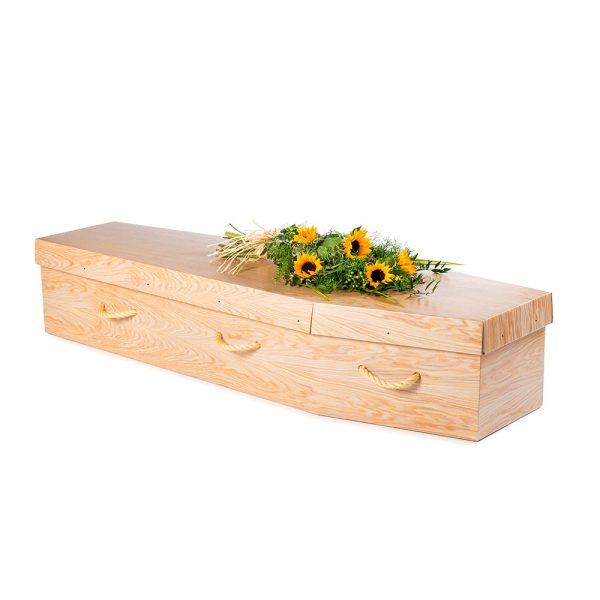 Cardboard coffin